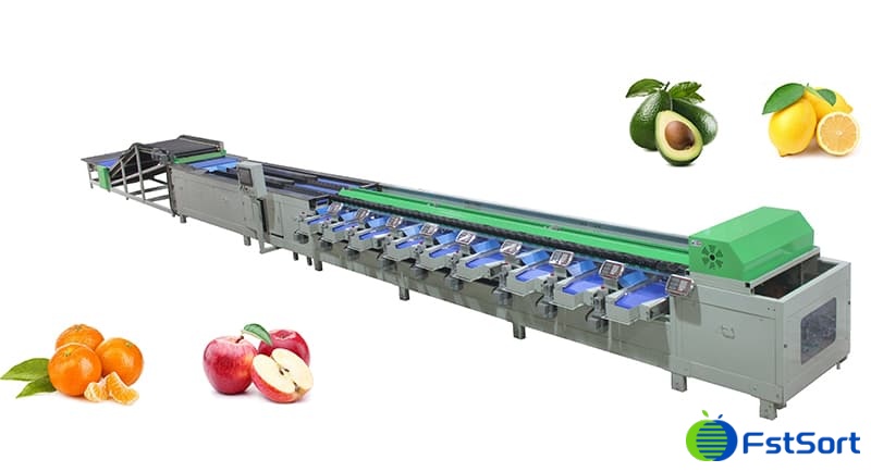 lemon sorter.jpg lemon sorter.jpg